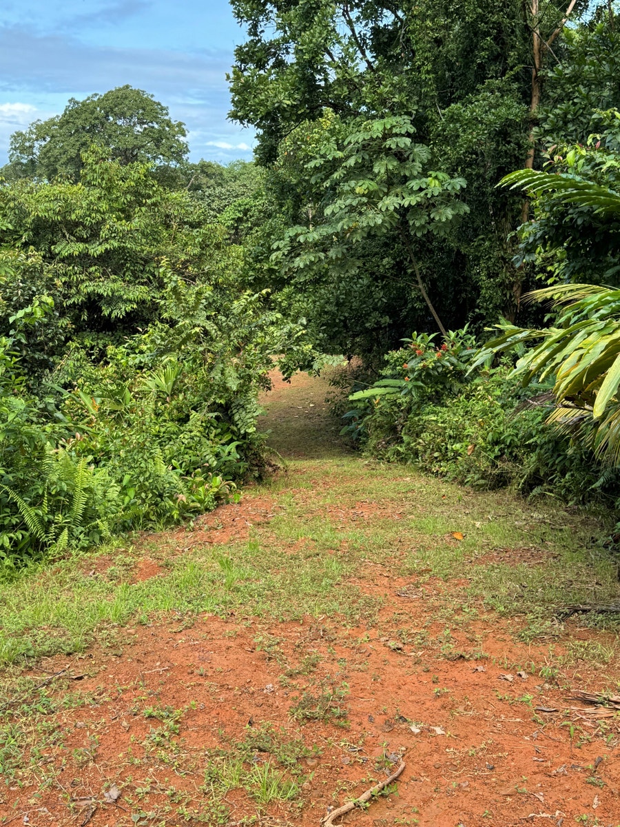 Private Ocean View Land — photo 7 of 12