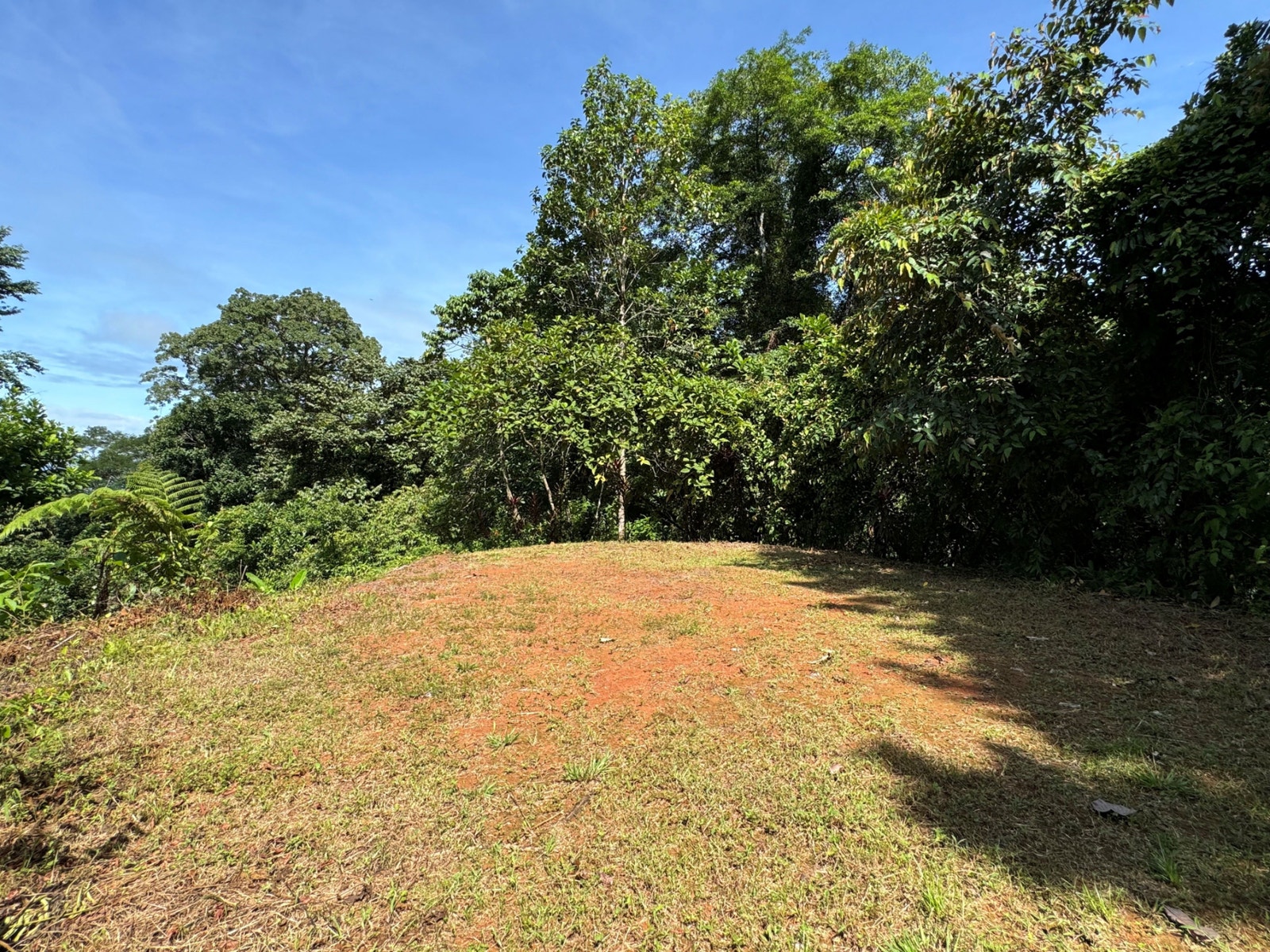 Private Ocean View Land — photo 8 of 12