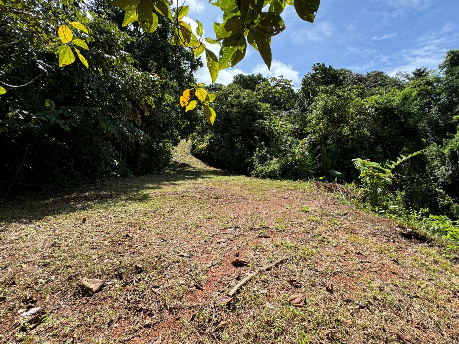 Private Ocean View Land — photo 9 of 12