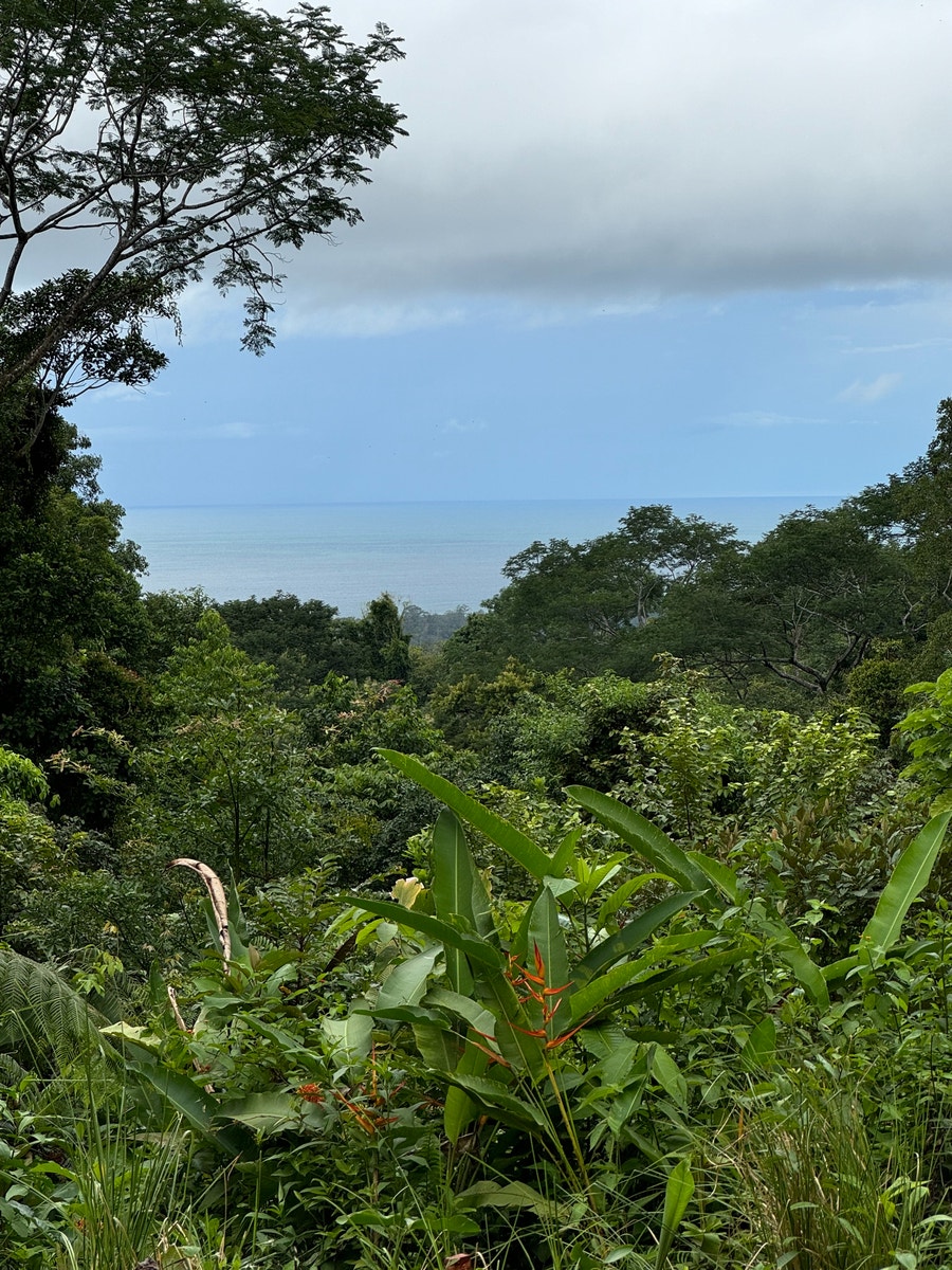 Private Ocean View Land — photo 2 of 12