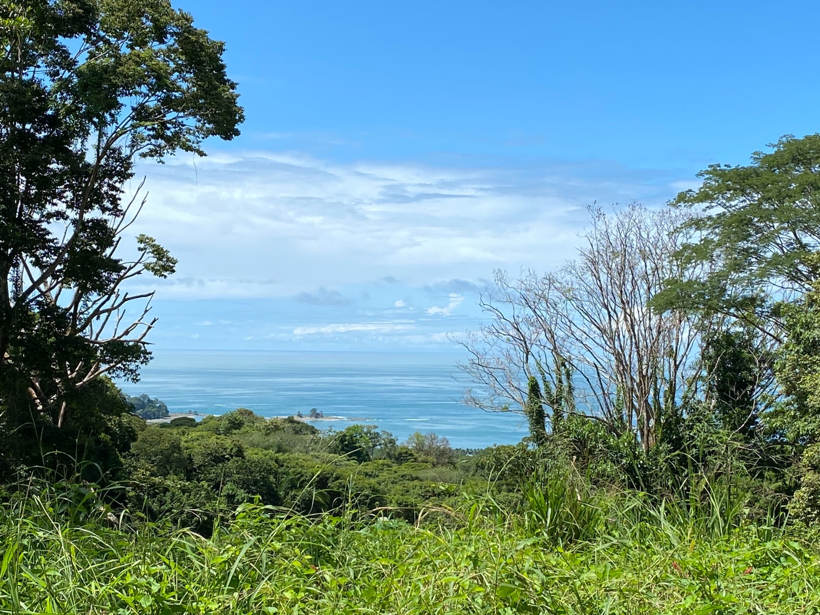 Ocean View property in Escaleras recently reduced, bring all offers, Escaleras, Dominical, Bahia Ballena, Osa, Puntarenas, Costa Rica 60504