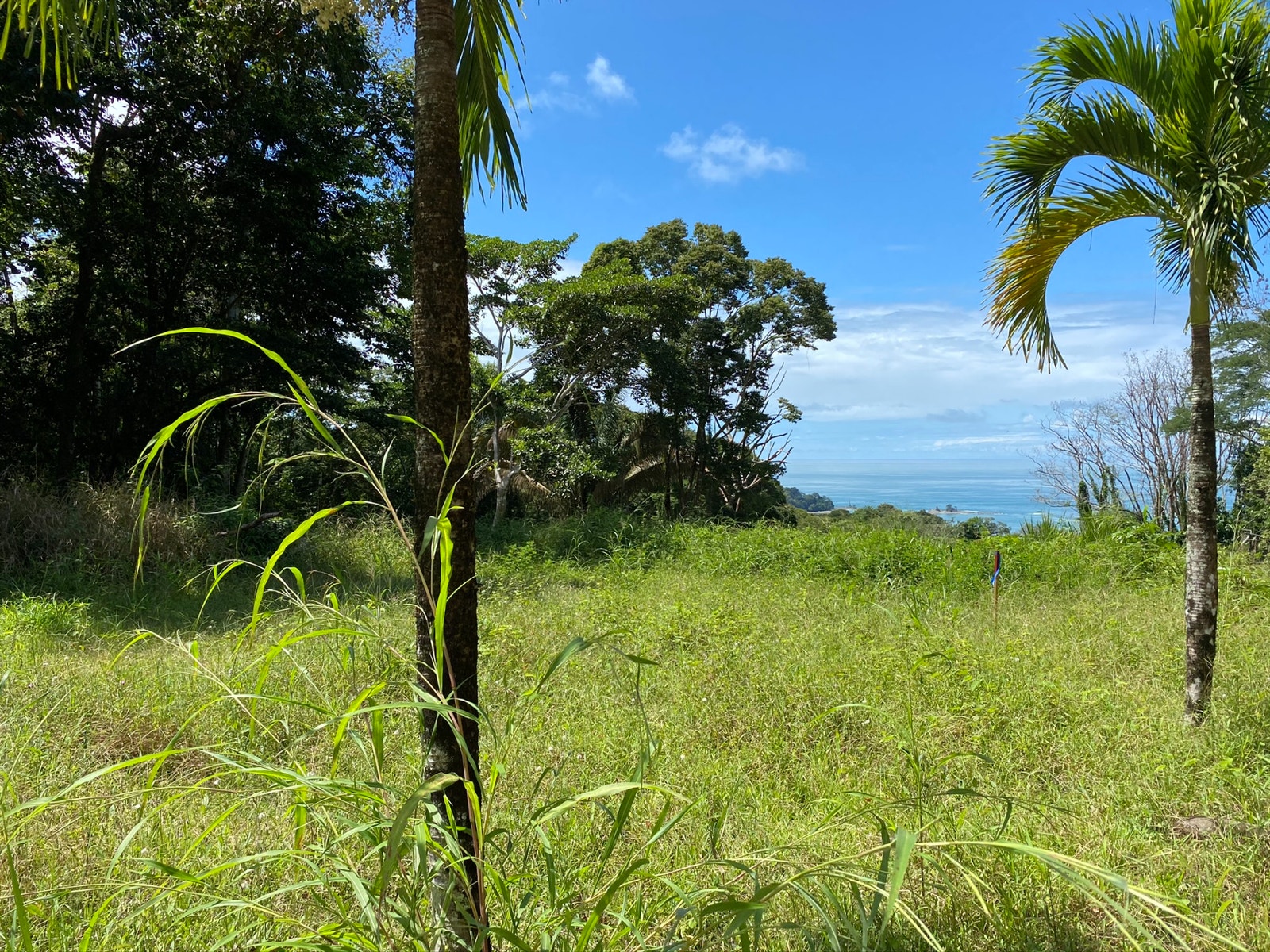 Ocean View property in Escaleras recently reduced, bring all offers — photo 4 of 7