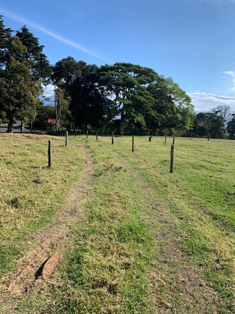 Nine hectare Mountain farm in Sacramento — photo 11 of 19