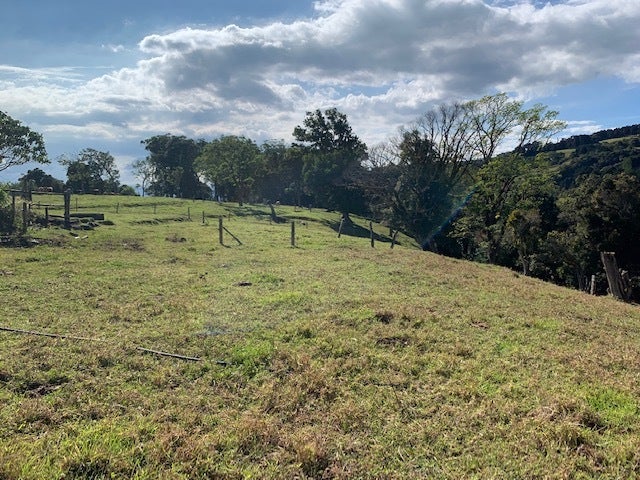 Nine hectare Mountain farm in Sacramento — photo 14 of 19