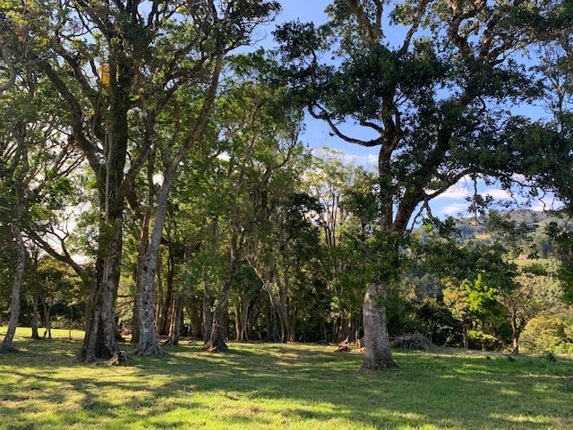 Nine hectare Mountain farm in Sacramento — photo 17 of 19