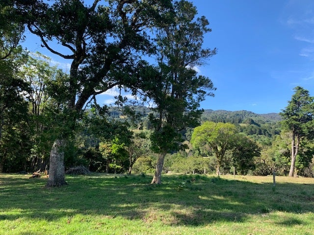 Nine hectare Mountain farm in Sacramento — photo 18 of 19
