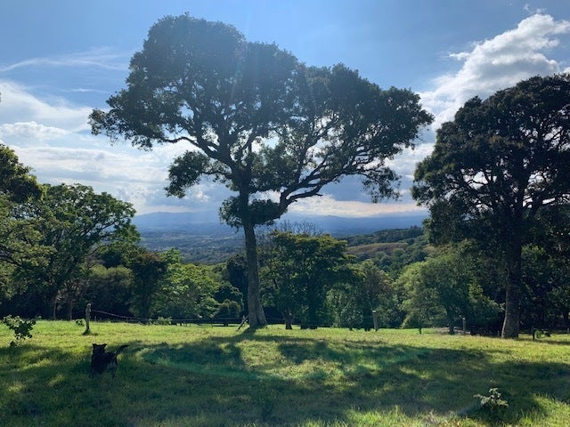 Nine hectare Mountain farm in Sacramento — photo 19 of 19