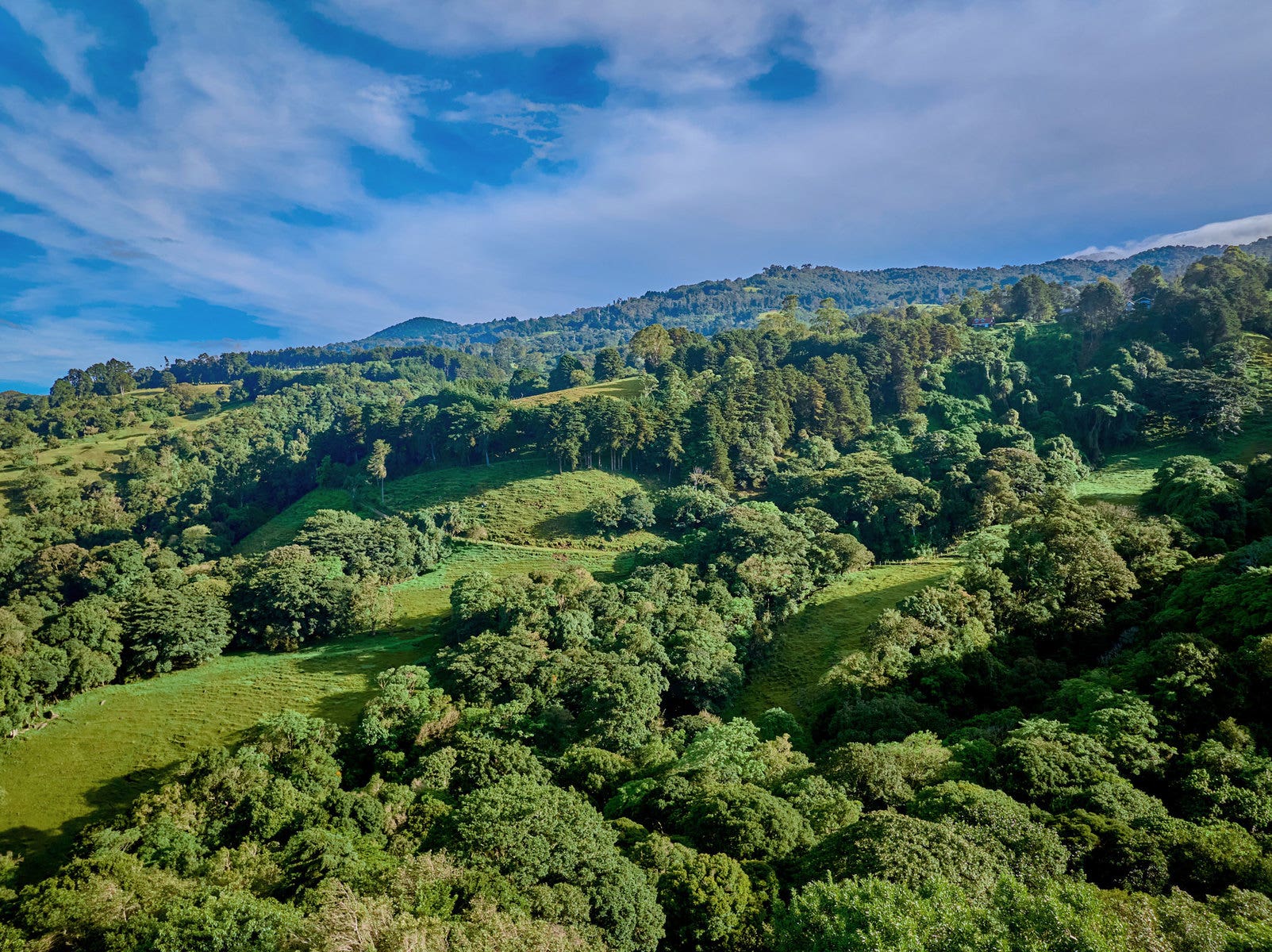 Nine hectare Mountain farm in Sacramento — photo 9 of 19