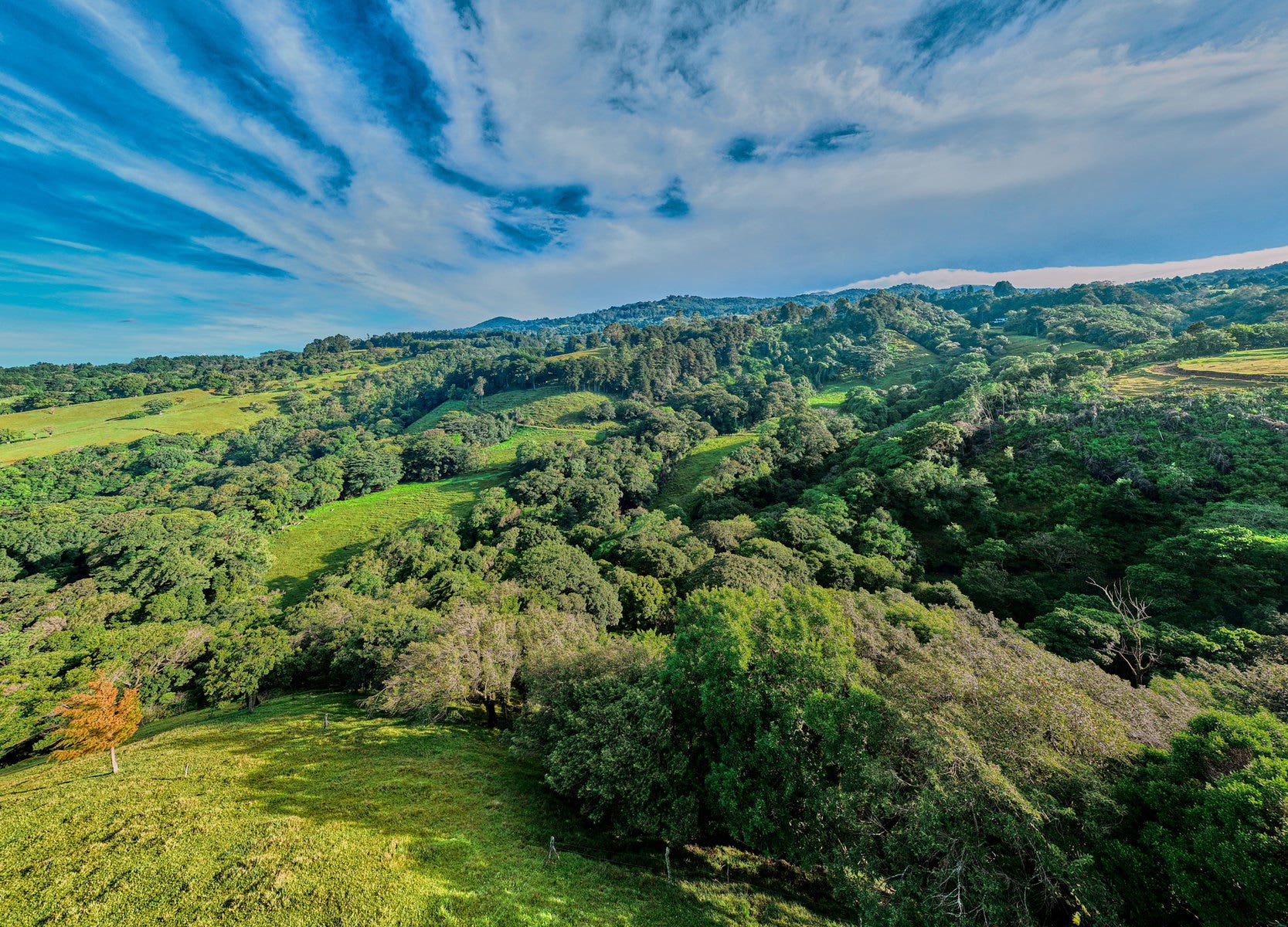 Nine hectare Mountain farm in Sacramento — photo 8 of 19