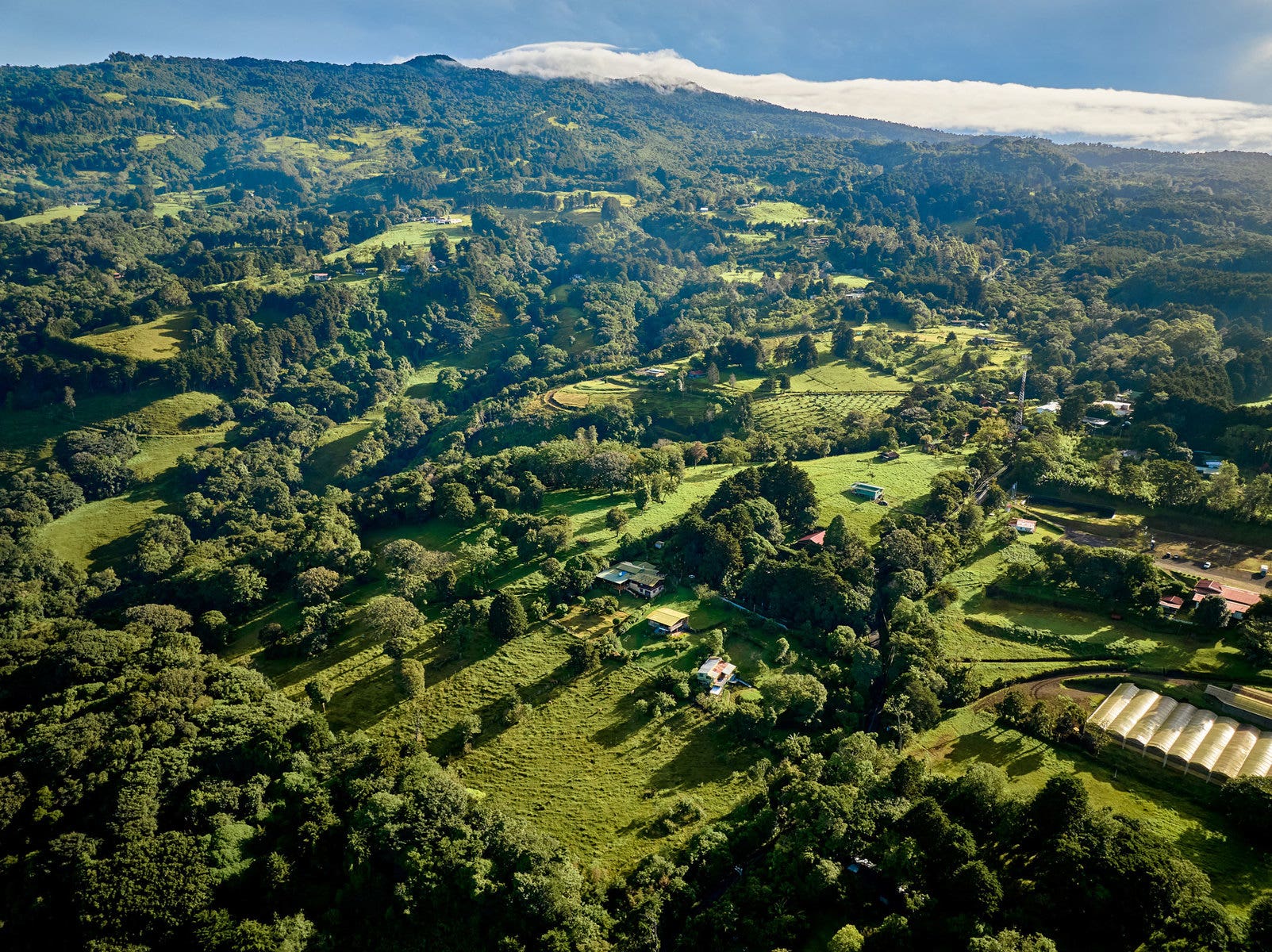 Nine hectare Mountain farm in Sacramento — photo 10 of 19