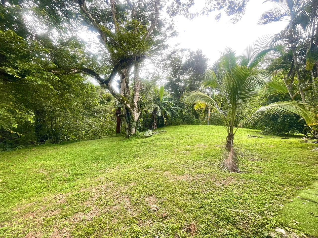 Large Property with Three Units Delicias — photo 2 of 19