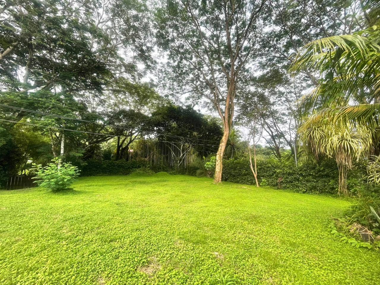 Large Property with Three Units Delicias — photo 6 of 19