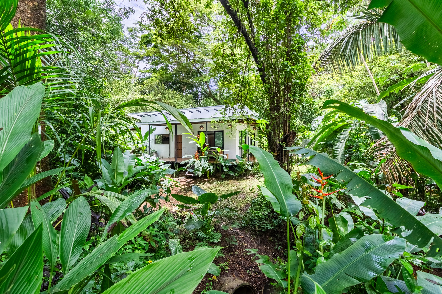 Charming Two bedroom Home in Cabuya, Cabuya, Cabuya, Santa Teresa, Puntarenas, Puntarenas, Puntarenas, Costa Rica 60111 Charming Two bedroom Home in Cabuya, Cabuya, Cabuya, Santa Teresa, Puntarenas, Puntarenas, Puntarenas, Costa Rica 60111