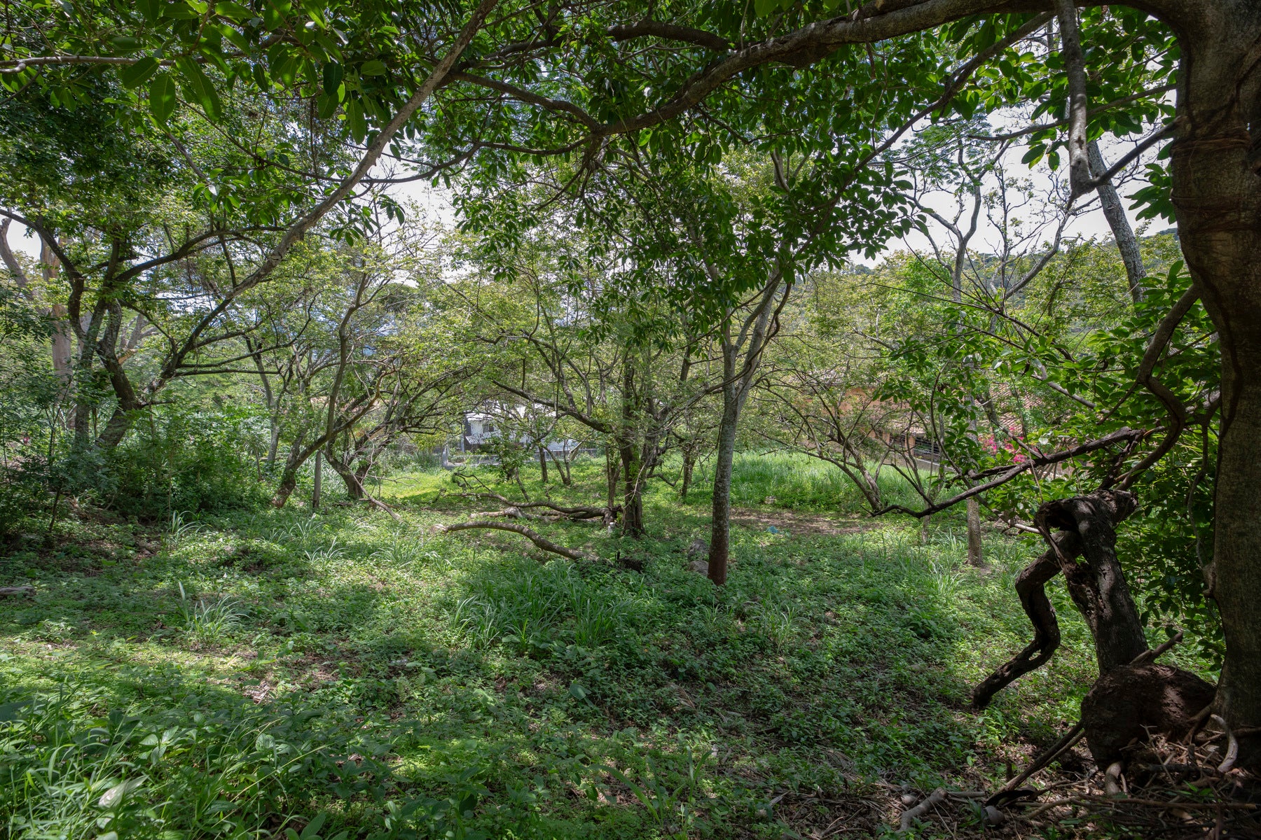 Residential Private Lush Lot, Montana Luna, Rio Oro, Santa Ana, Santa Ana, Santa Ana, San Jose, Costa Rica 10904