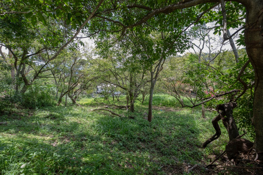 Property photo for Residential Private Lush Lot, Montana Luna, Rio Oro, Santa Ana, Santa Ana, Santa Ana, San Jose, Costa Rica