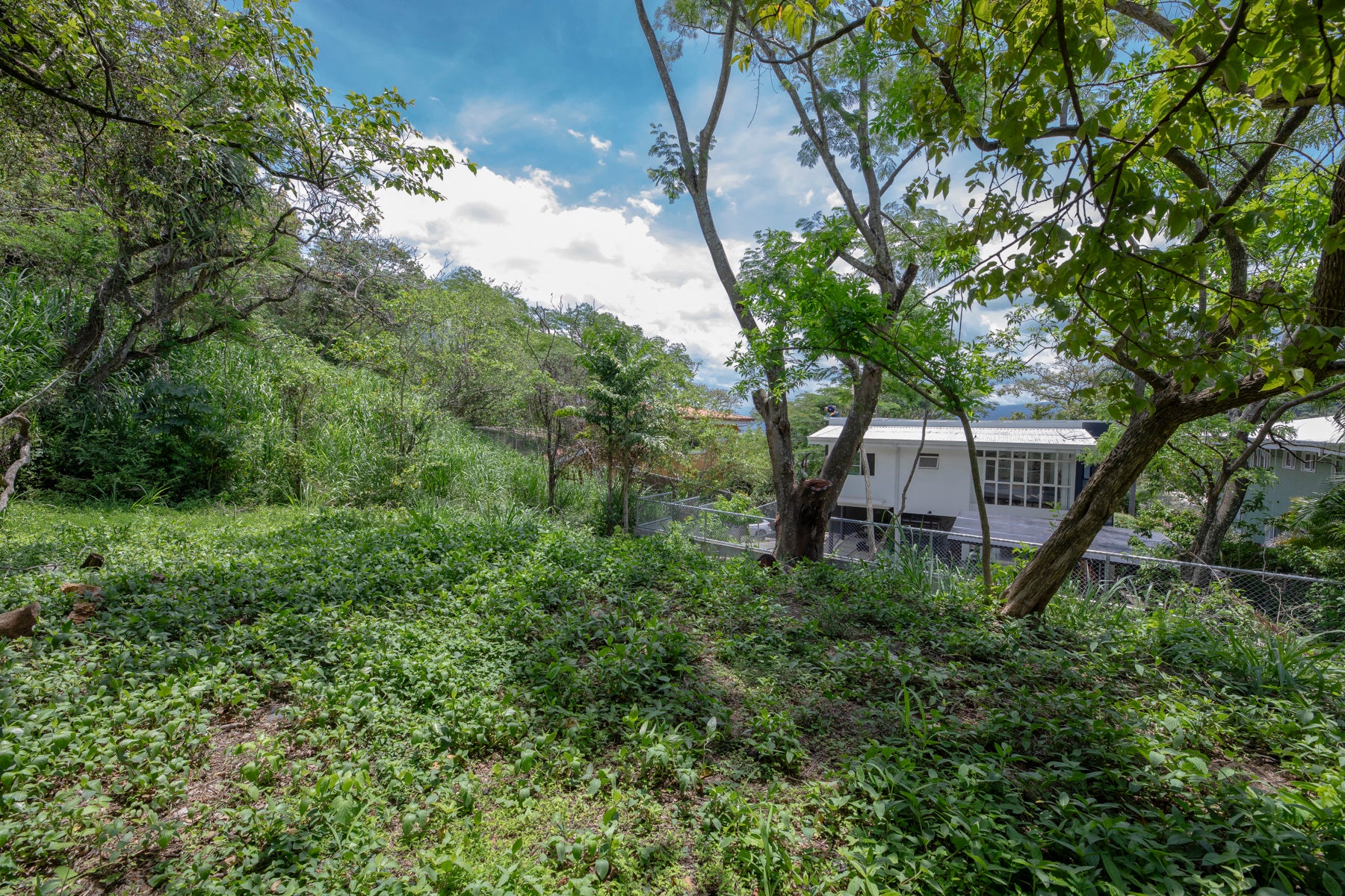 Residential Private Lush Lot — photo 6 of 11