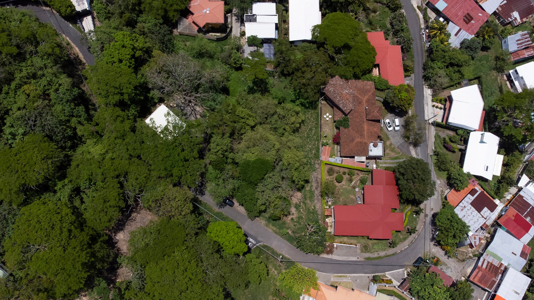 Residential Private Lush Lot — photo 7 of 11