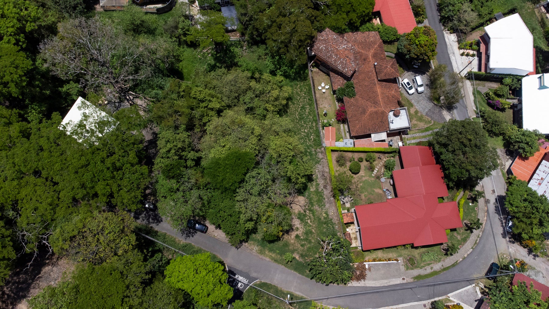 Residential Private Lush Lot — photo 8 of 11
