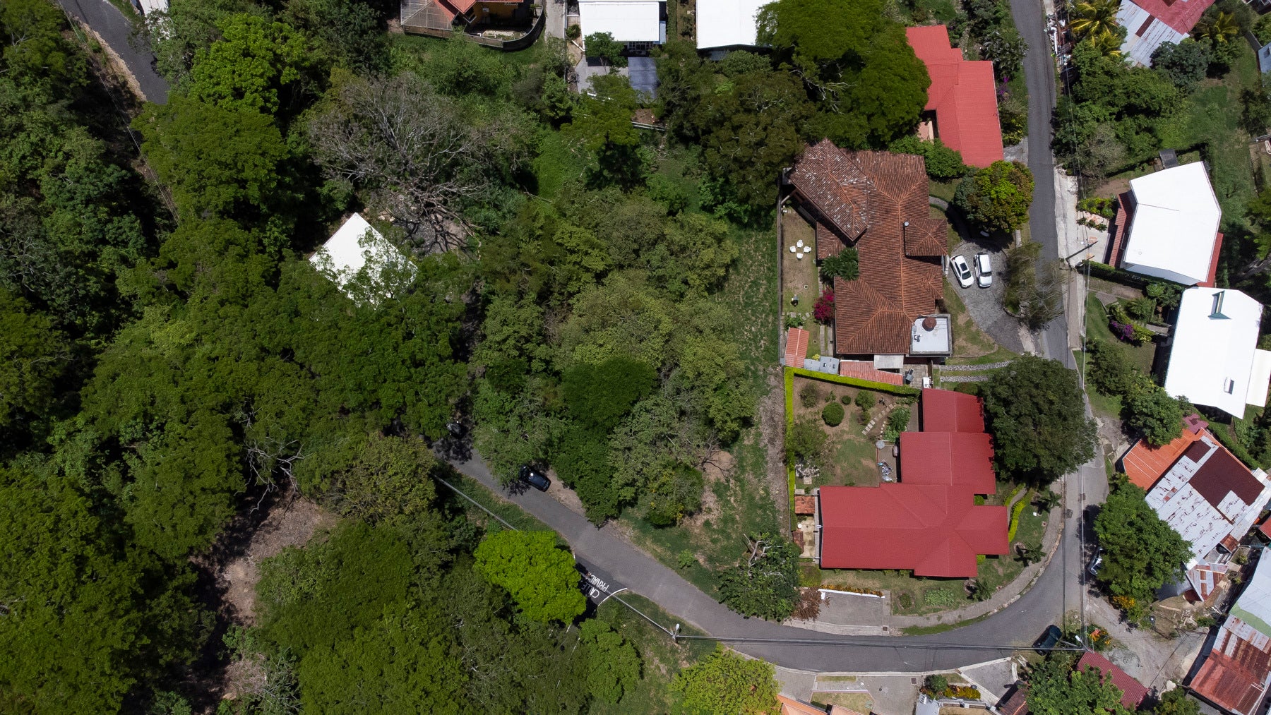 Residential Private Lush Lot — photo 11 of 11