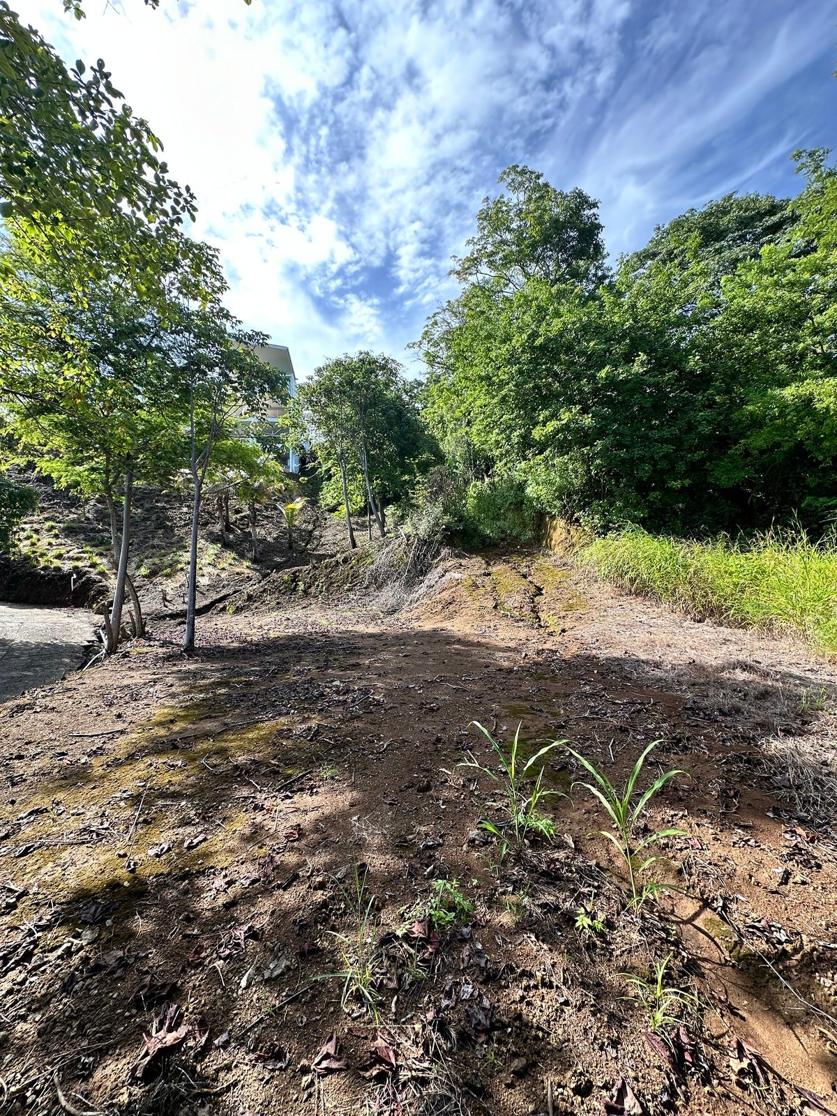 Ocean View Lot in Ocotal Beach — foto 3 de 11