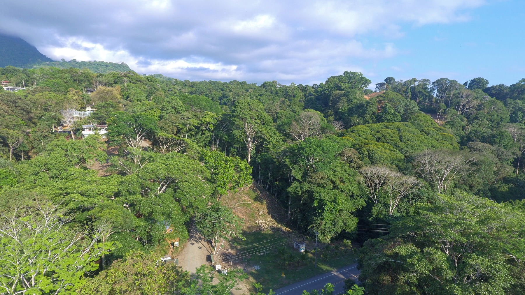 Development Opportunity with Legal Water — photo 11 of 18