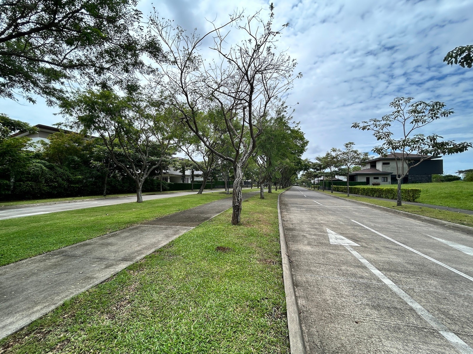 Live Surrounded By Nature — photo 6 of 19