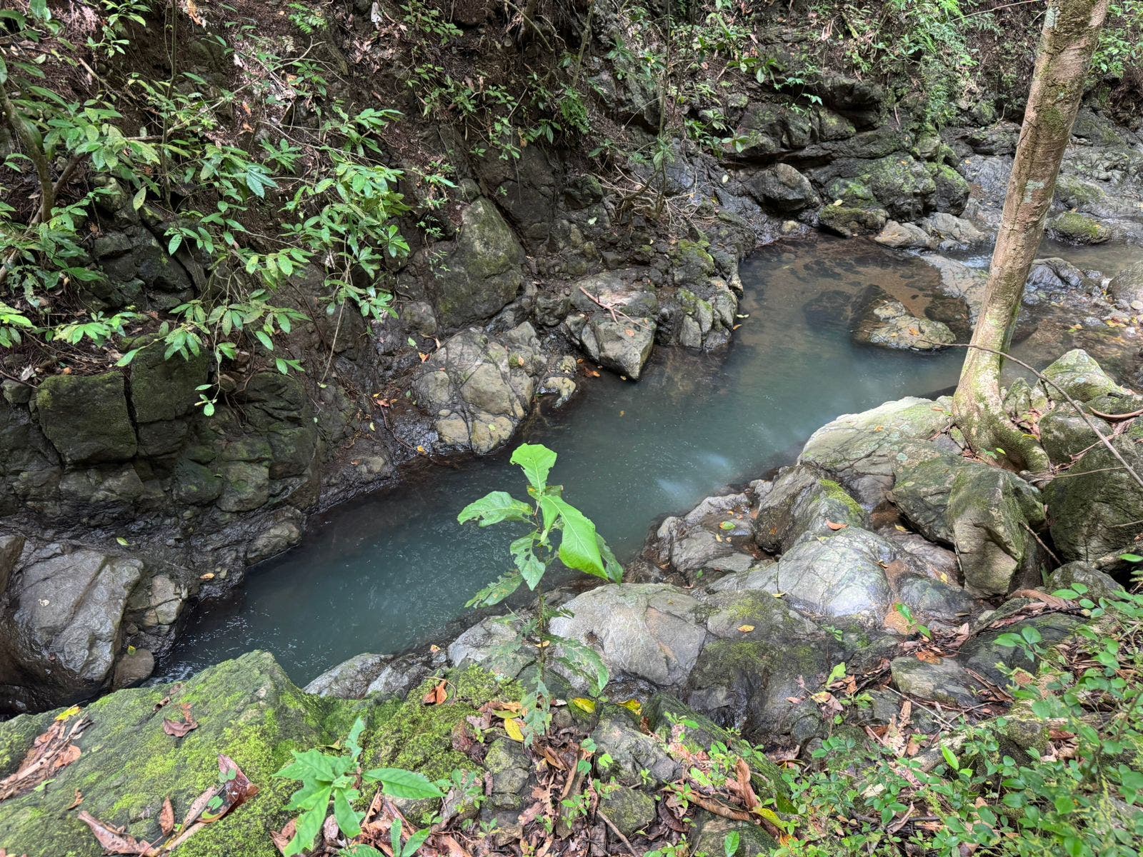 River Lot in Delicias — photo 8 of 8