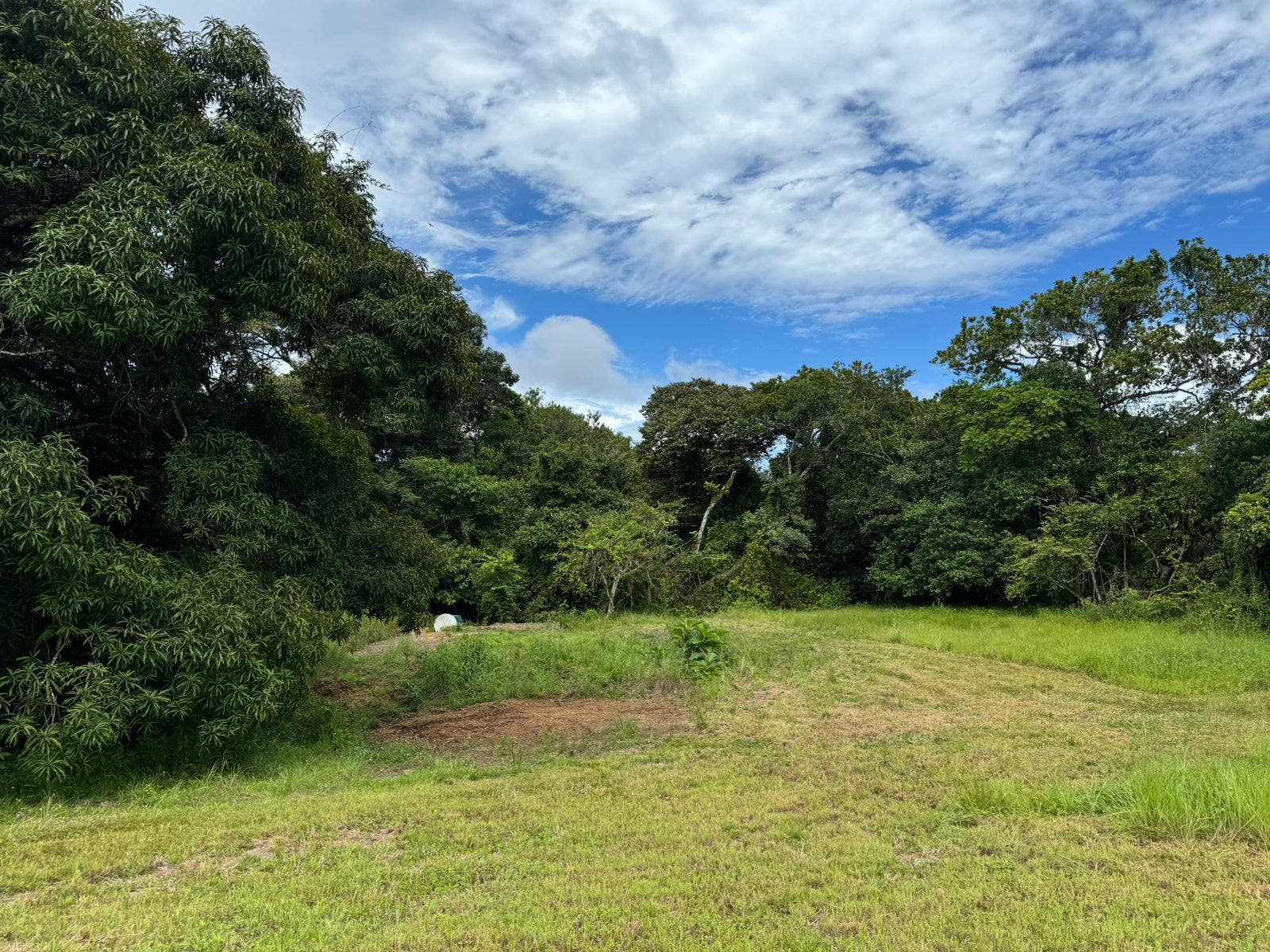River Lot in Delicias — photo 3 of 8