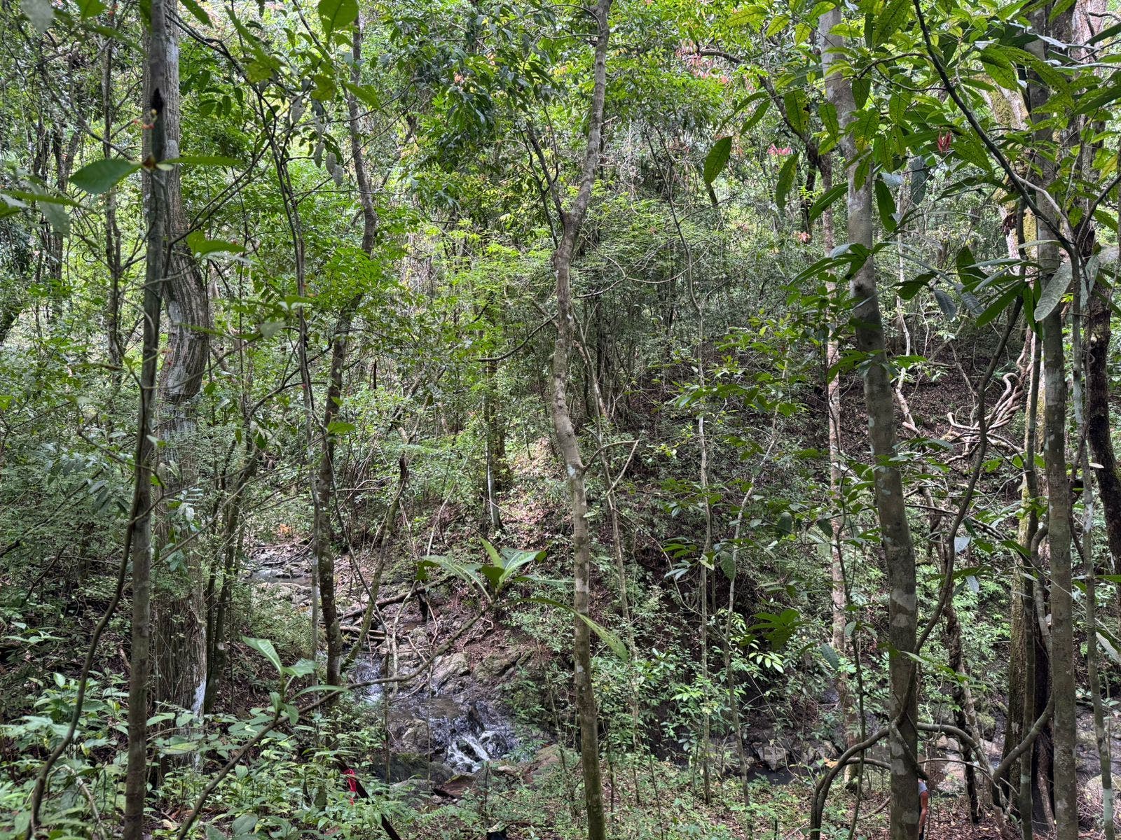 River Lot in Delicias — photo 6 of 8