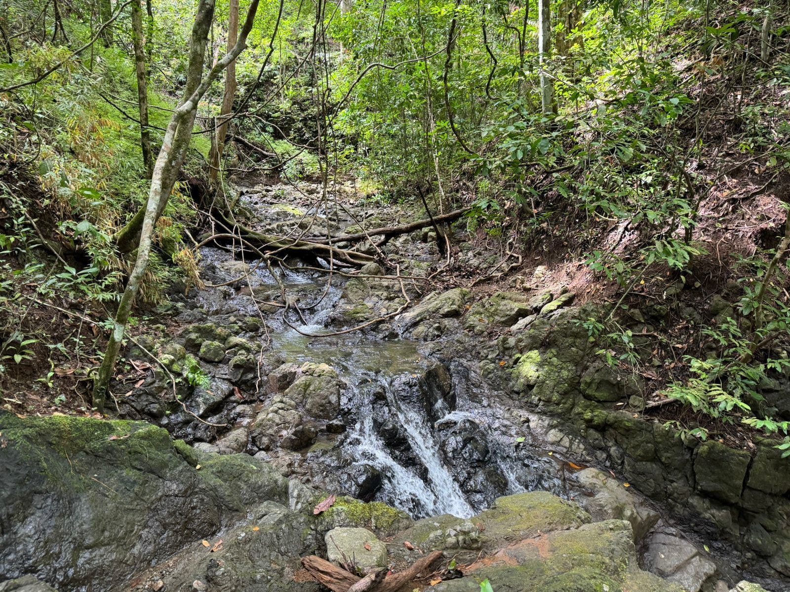 River Lot in Delicias — photo 5 of 8