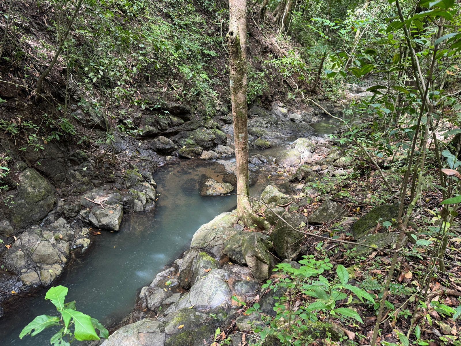 River Lot in Delicias — photo 4 of 8