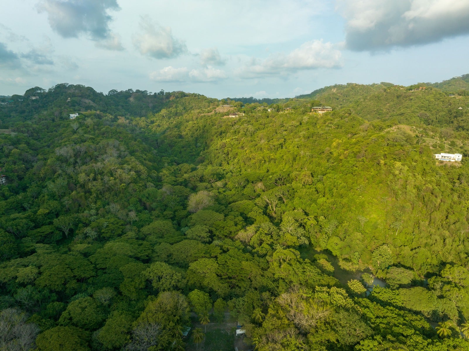 Large Development Parcel in Mal Pais — photo 6 of 15