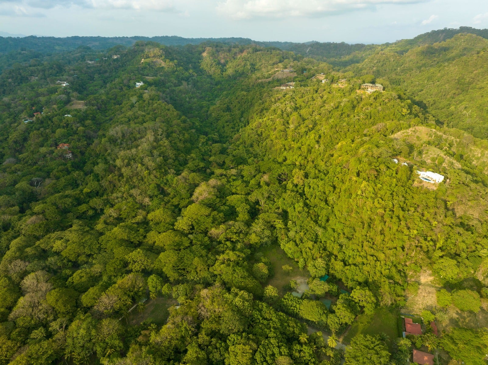 Large Development Parcel in Mal Pais — photo 7 of 15