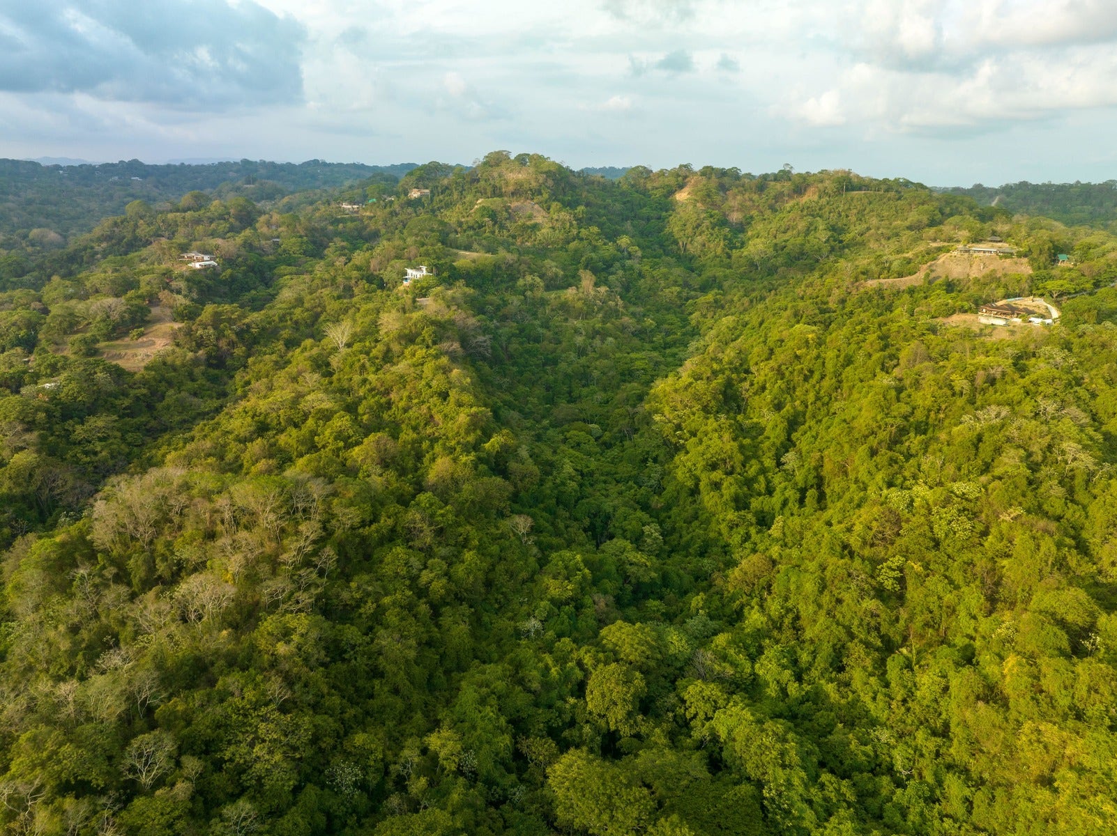 Large Development Parcel in Mal Pais — photo 8 of 15