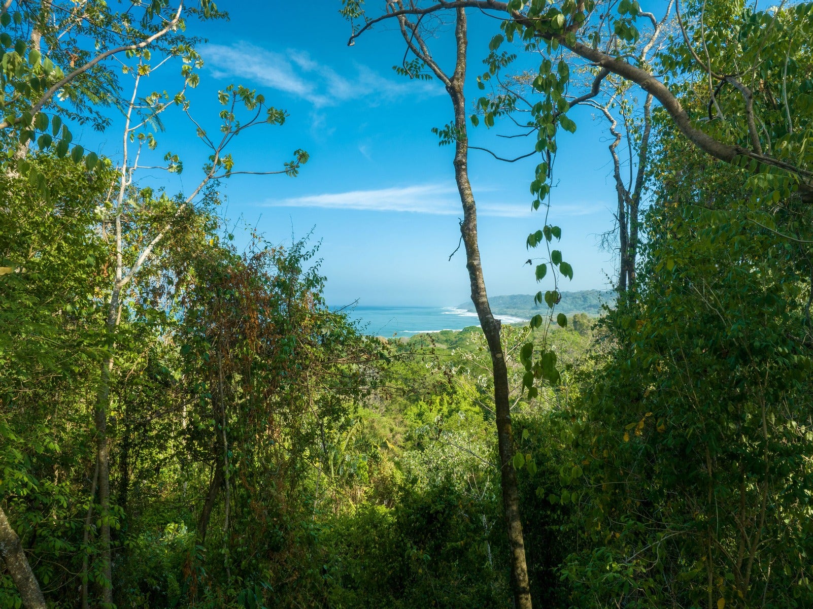 Large Development Parcel in Mal Pais — photo 13 of 15