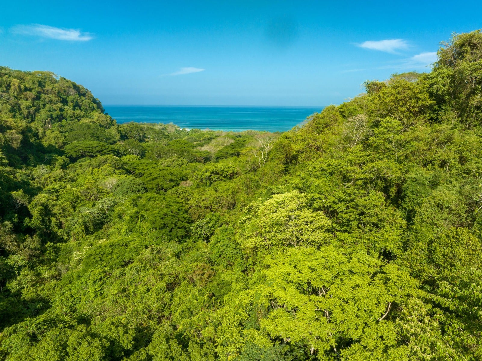 Large Development Parcel in Mal Pais — photo 14 of 15