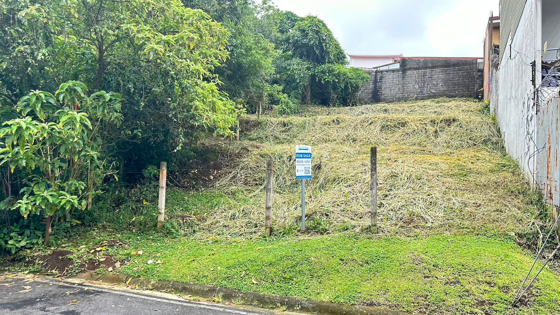Freses de Curridabat, Curridabat, Curridabat, Curridabat, San Jose, Costa Rica 11802