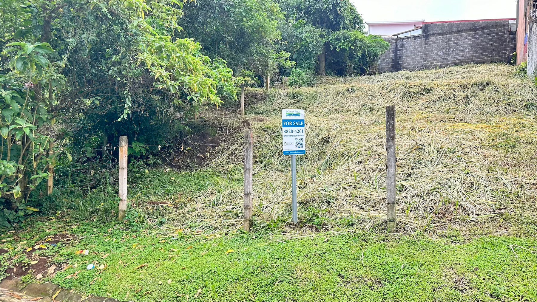 Freses de Curridabat, Curridabat, Curridabat, Curridabat, San Jose, Costa Rica 11802 — foto 3 de 5