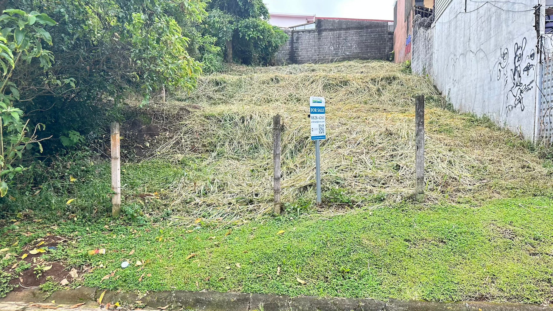 Freses de Curridabat, Curridabat, Curridabat, Curridabat, San Jose, Costa Rica 11802 — foto 4 de 5