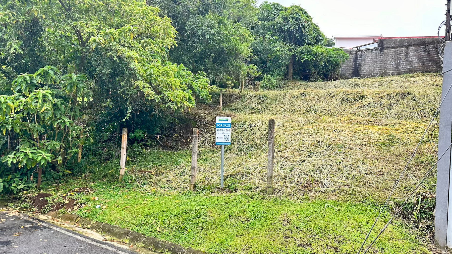 Freses de Curridabat, Curridabat, Curridabat, Curridabat, San Jose, Costa Rica 11802 — foto 5 de 5