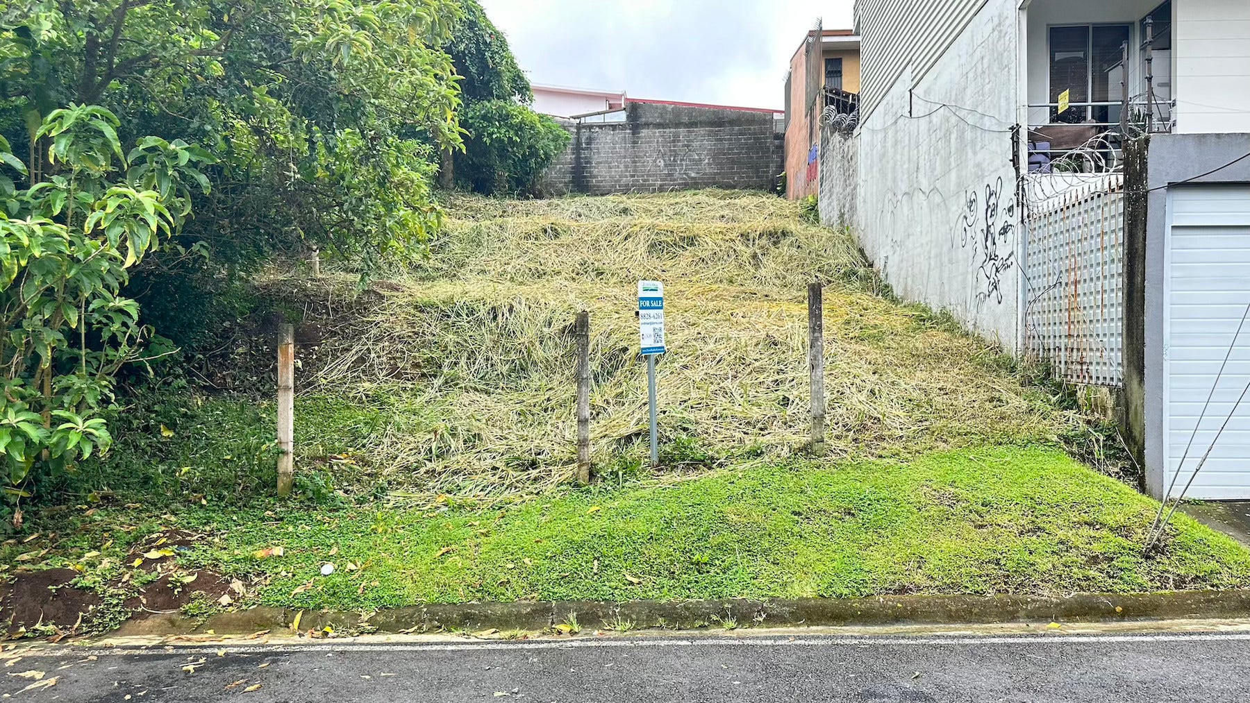 Freses de Curridabat — photo 6 of 13