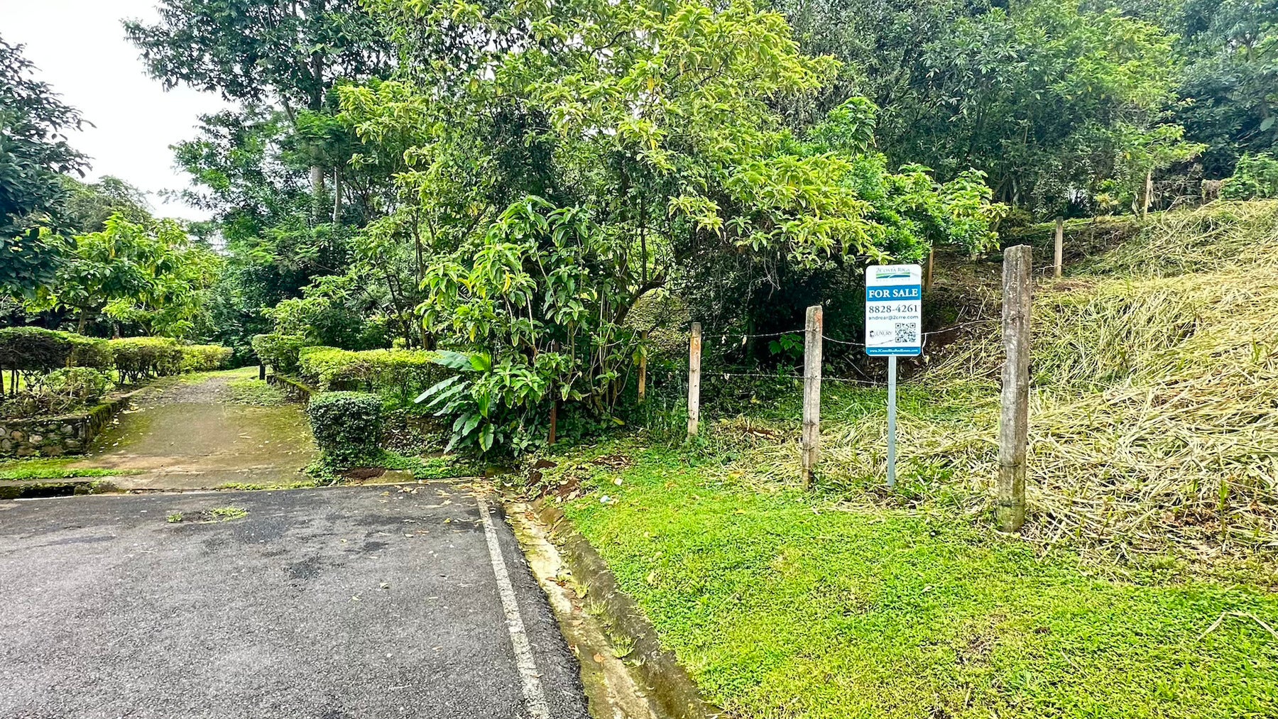 Freses de Curridabat, Curridabat, Curridabat, Curridabat, San Jose, Costa Rica 11802 — foto 2 de 5