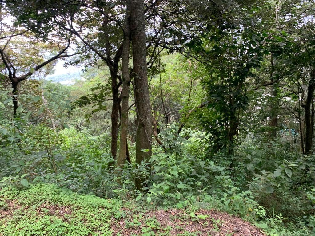 Panoramic Lot Montana del Sol — photo 3 of 5