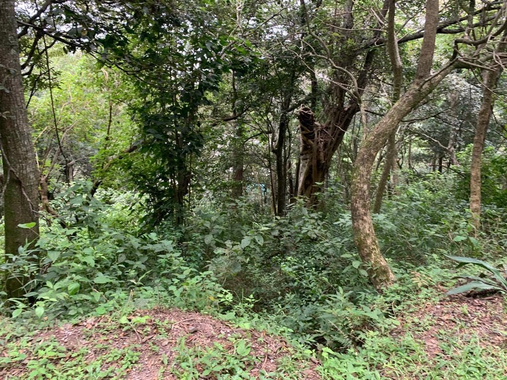 Panoramic Lot Montana del Sol — photo 4 of 5