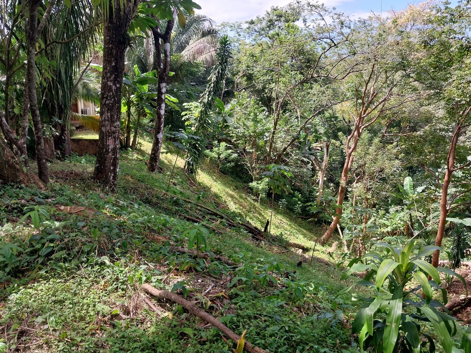 Great Opportunity Casita and Lot, San Isidro, San Isidro, Santa Teresa, Cobano, Puntarenas, Puntarenas, Costa Rica 60111
