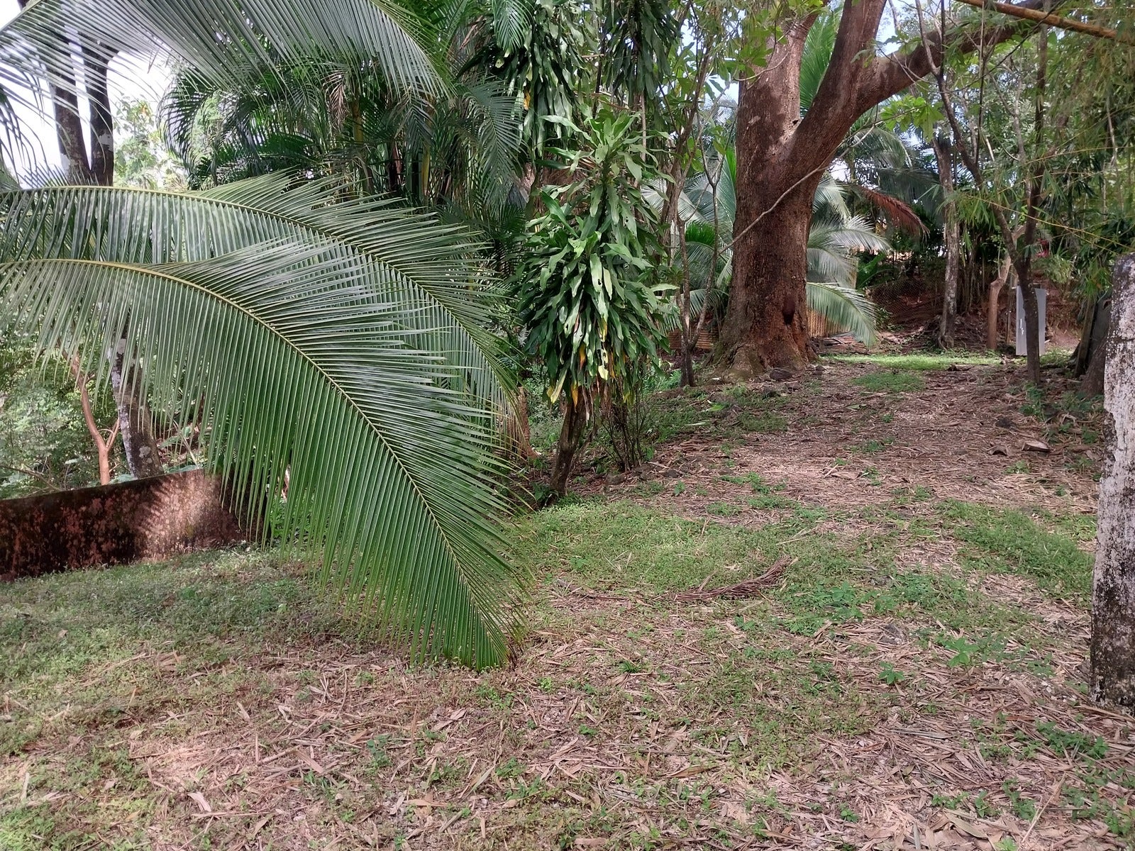 Great Opportunity Casita and Lot, San Isidro, San Isidro, Santa Teresa, Cobano, Puntarenas, Puntarenas, Costa Rica 60111