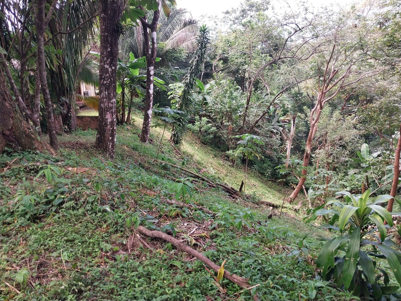 Great Opportunity Casita and Lot, San Isidro, San Isidro, Santa Teresa, Cobano, Puntarenas, Puntarenas, Costa Rica 60111
