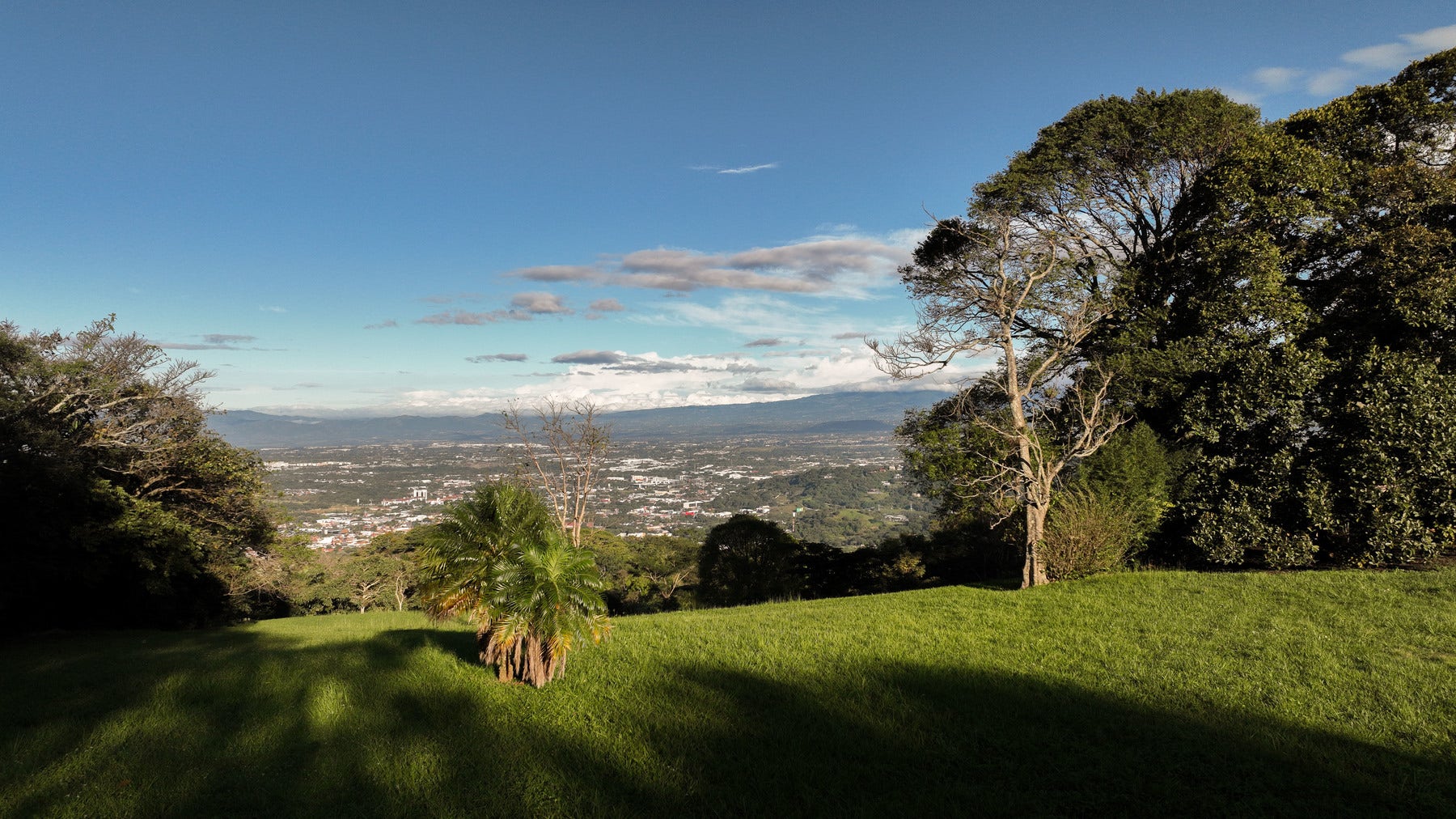 Panoramic Estate Land — photo 4 of 10