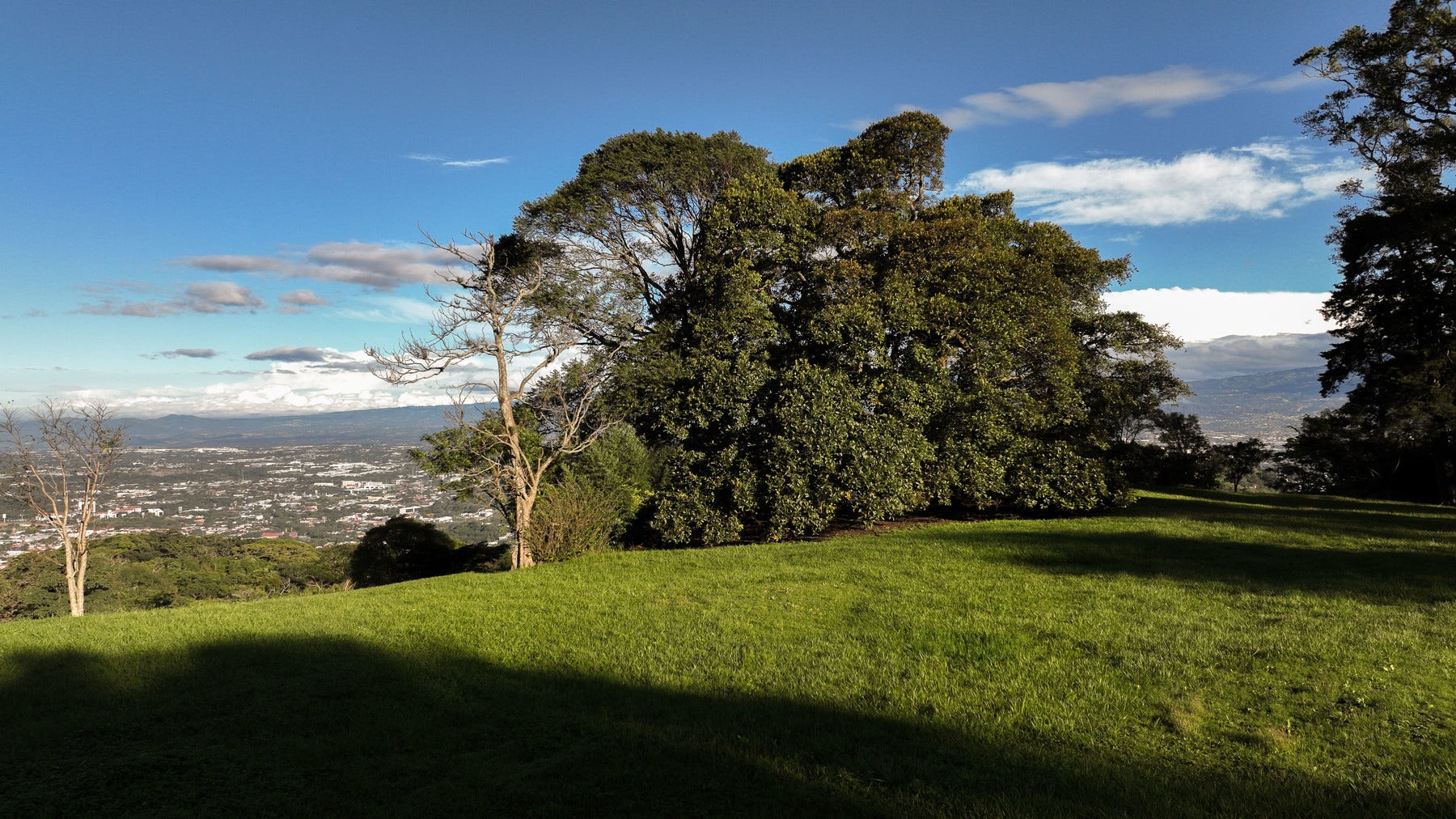 Panoramic Estate Land — photo 5 of 10