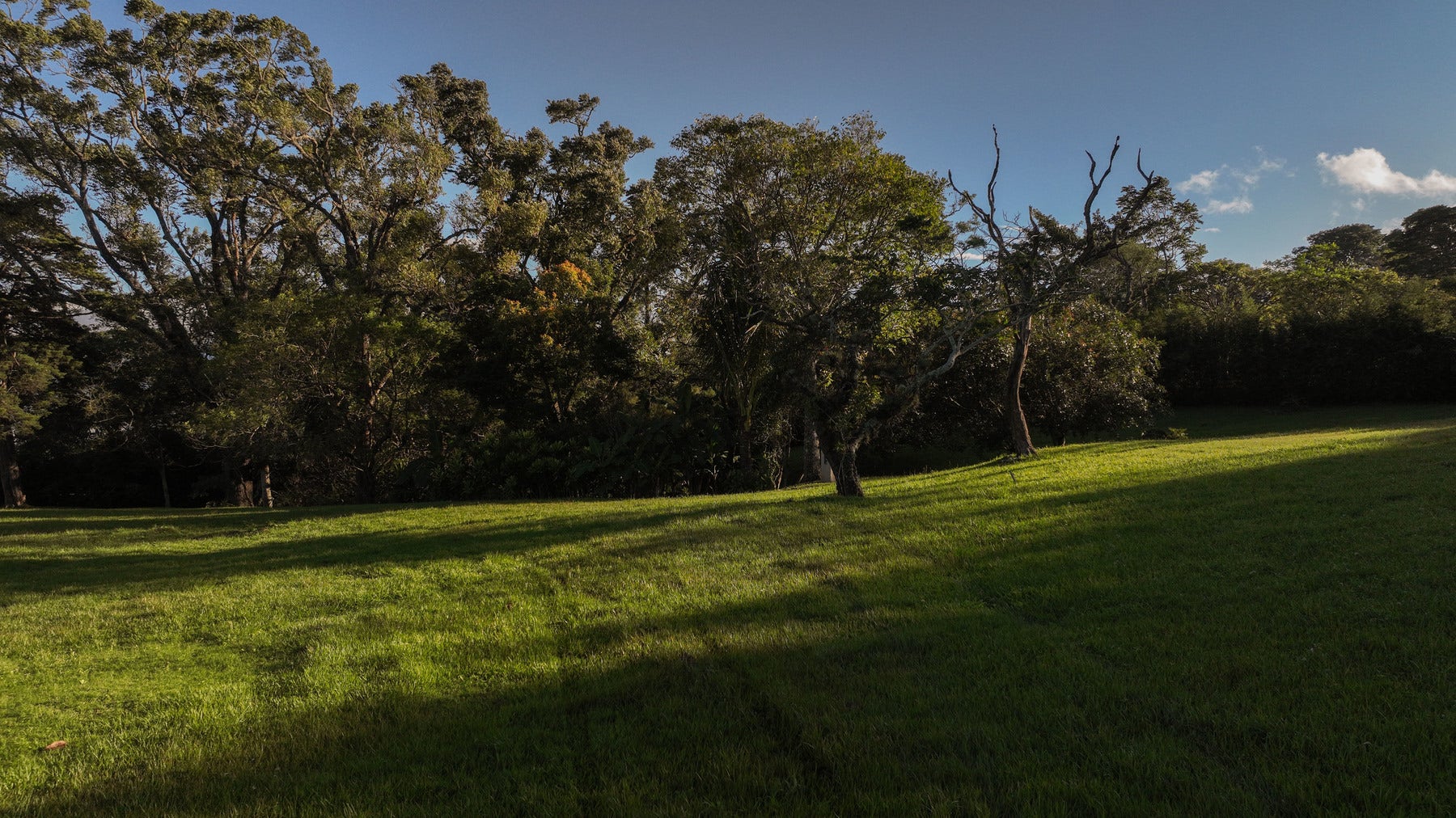 Panoramic Estate Land — photo 7 of 10